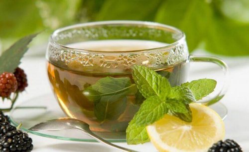 bir bardak atkuyruğu çayı