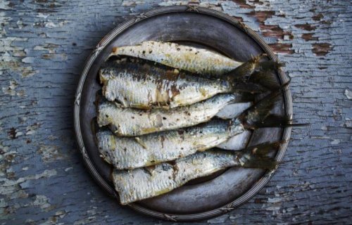 Omega 3 kaynağı balık