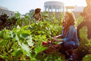Aylara Göre Sağlıklı Mevsimsel Yiyecekler