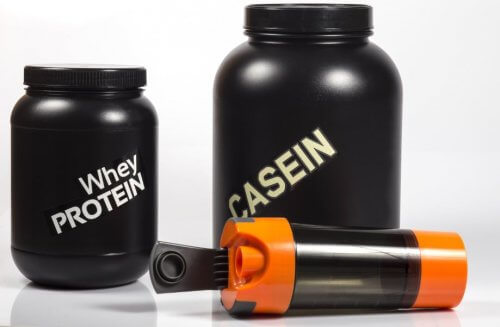 whey ve kazein protein karışımları