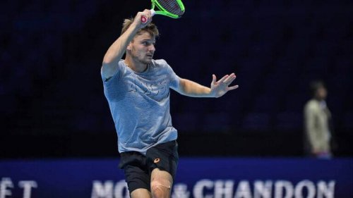 david goffin 1