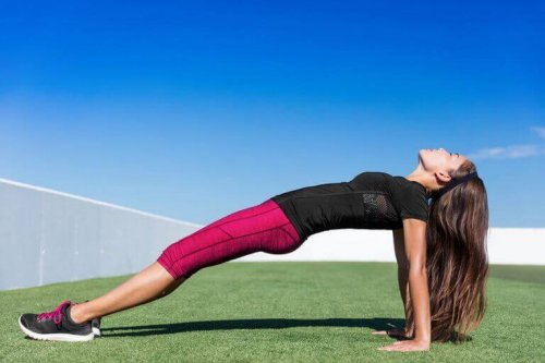 ters plank pozisyonu