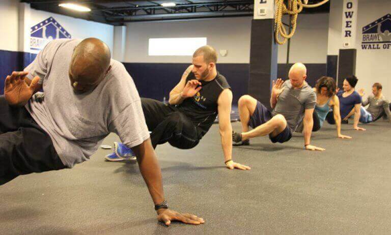 animal flow grup dersi