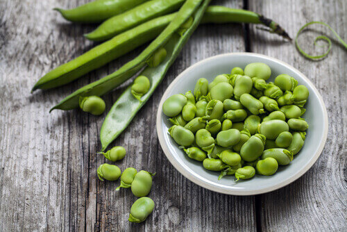 Fasulye Akdeniz ve Orta Asya'ya özgüdür .Ancak dünya çapında hasat edilmektedir.