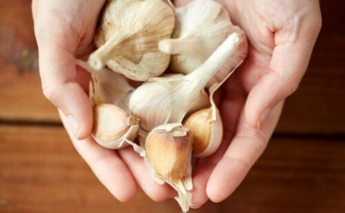 sarımsakla kilo vermek