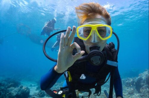 Dalış İçin Tavsiye Edilen Beslenme Düzeni