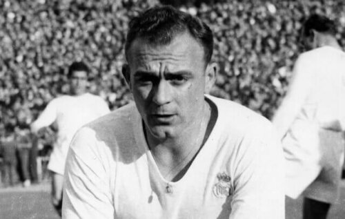 Di Stefano
