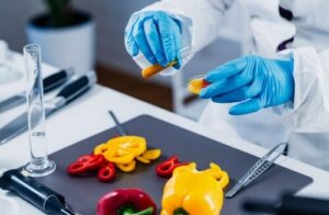 Genetiği Değiştirilmiş Gıdaların Artıları ve Eksileri