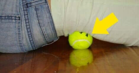 tenis topuyla bel ağrılarını giderin