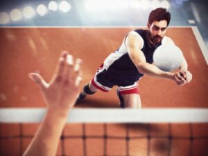 Wallyball Nedir?