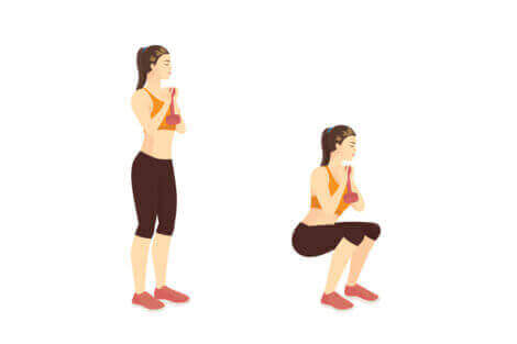goblet squat nedir