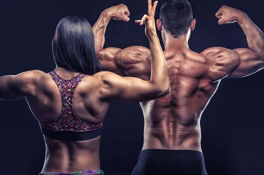 Sırt Kaslarını Güçlendirmek İçin Egzersiz Önerileri