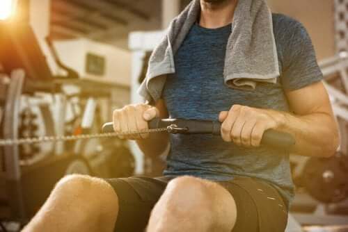 Oturarak veya yatay kürek çekme ile çalıştırılabilecek kas grupları