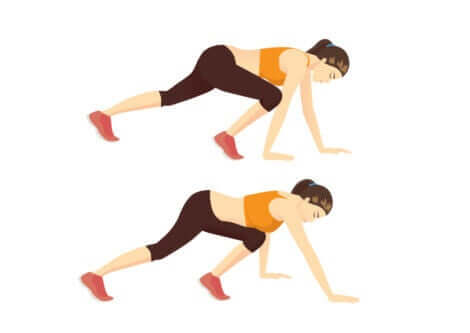 ayı yürüyüşü egzersizi