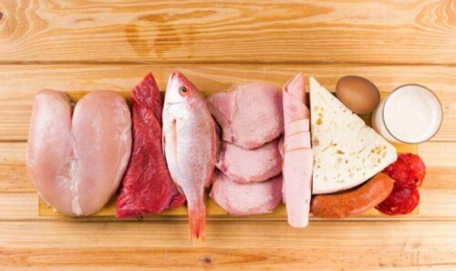 Protein içeren çeşitli gıdalar.