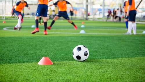Eski futbolcuların yeni kariyerleri.