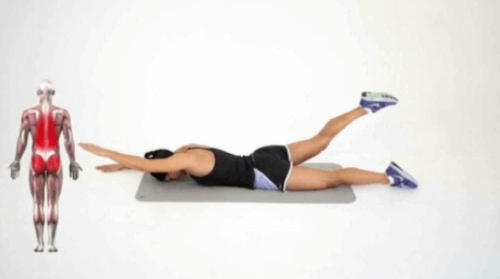 core bölgesi egzersizleri